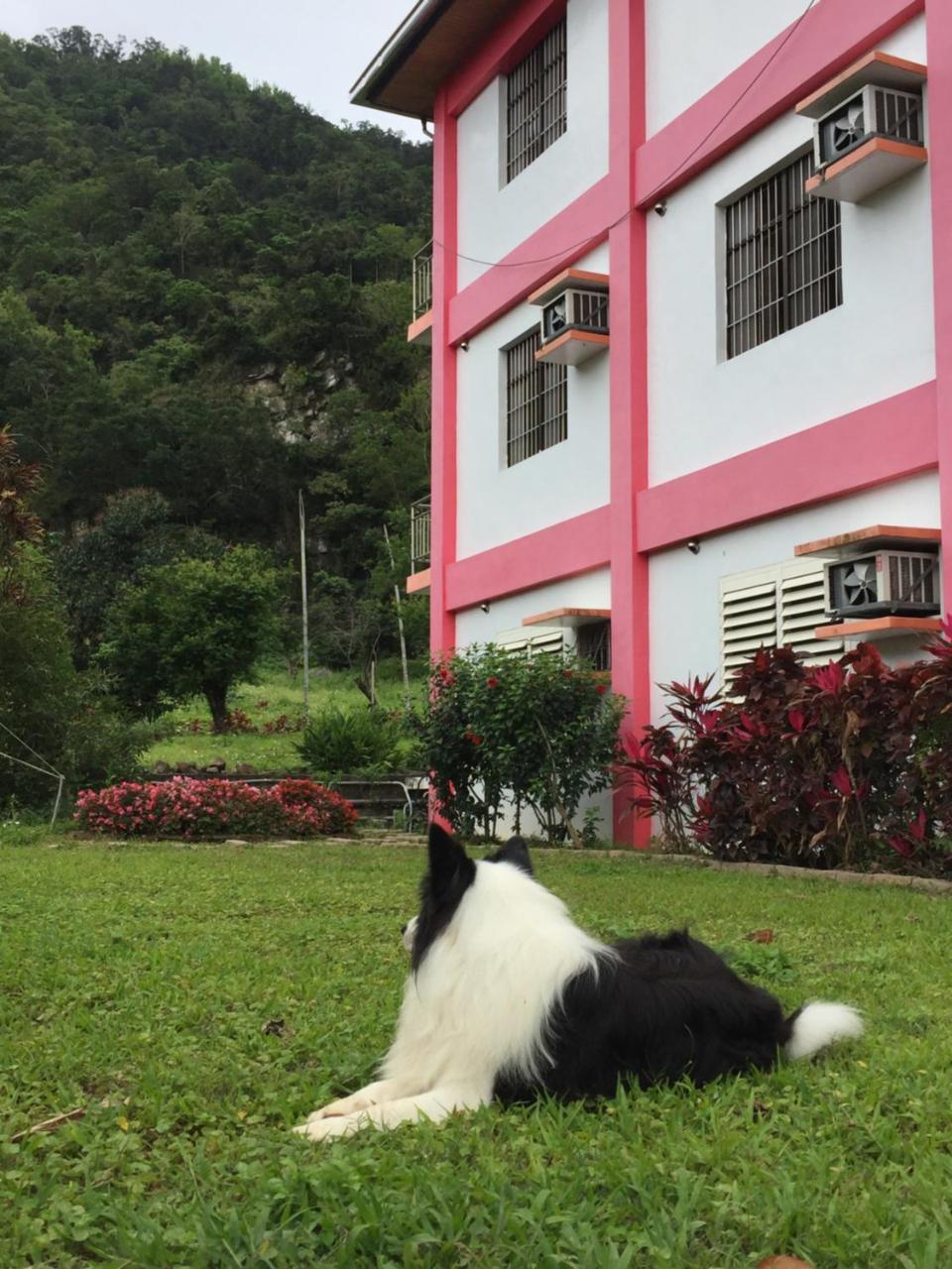 Moon B&B Wenquan Ngoại thất bức ảnh